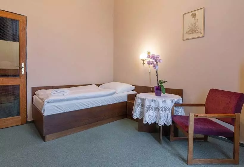 Fotos del hotel Slovan Plze?:  20