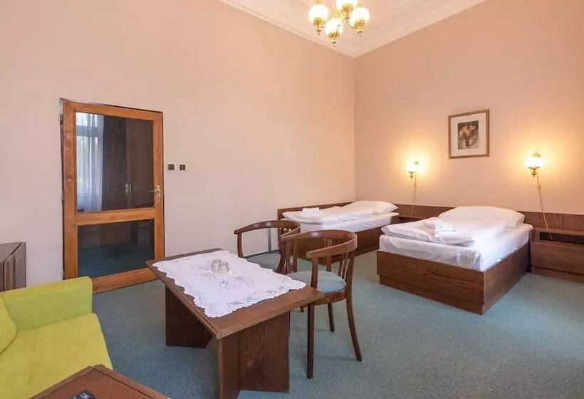 Fotos del hotel Slovan Plze?:  8