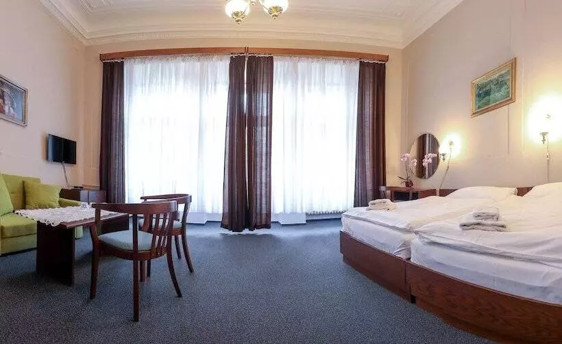 Fotos del hotel Slovan Plze?:  12