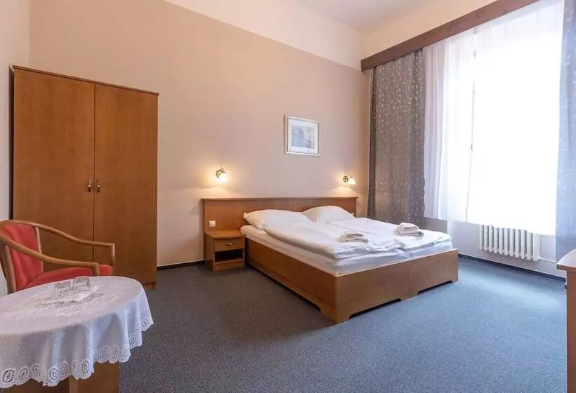 Fotos del hotel Slovan Plze?:  15