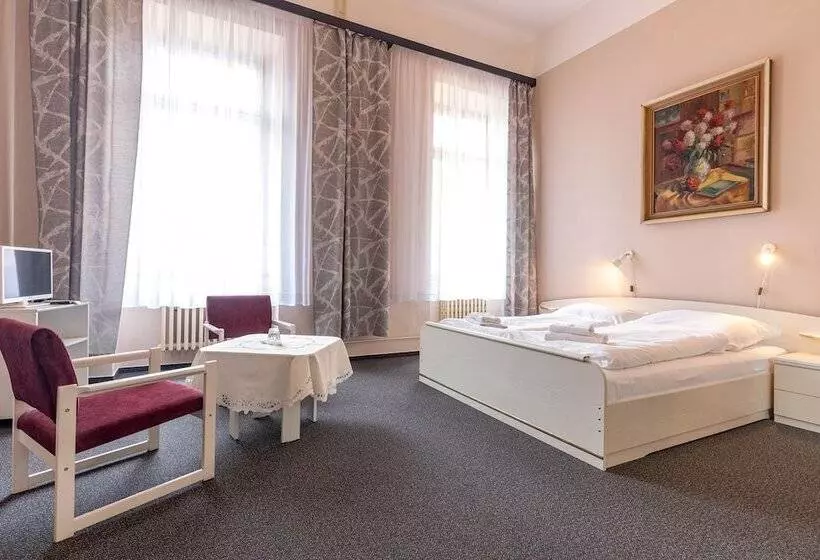 Fotos del hotel Slovan Plze?:  16