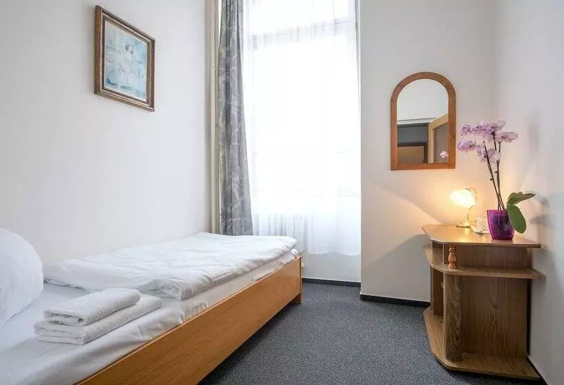 Fotos del hotel Slovan Plze?:  18