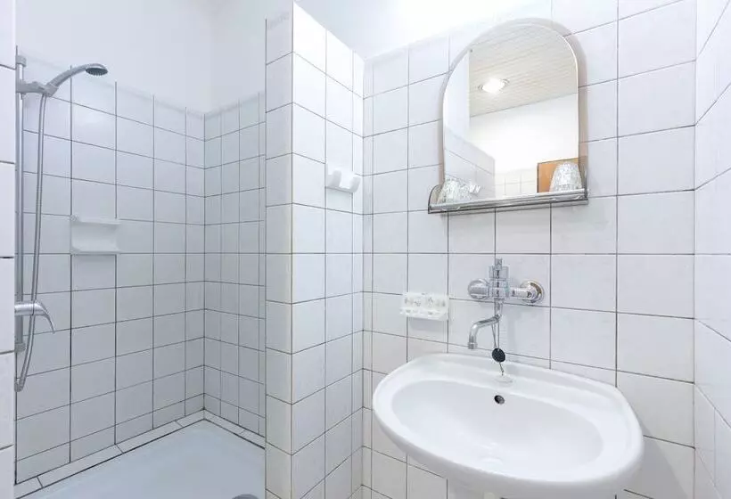 Fotos del hotel Slovan Plze?:  6