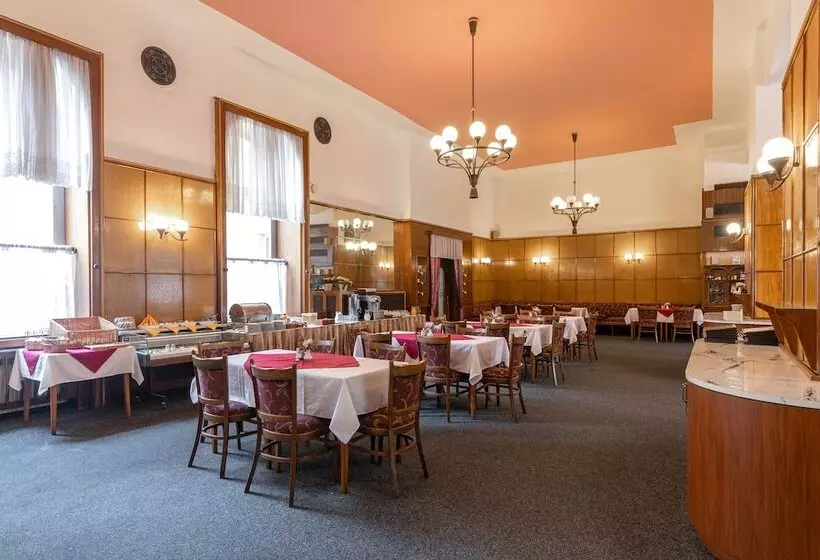 Fotos del hotel Slovan Plze?:  10