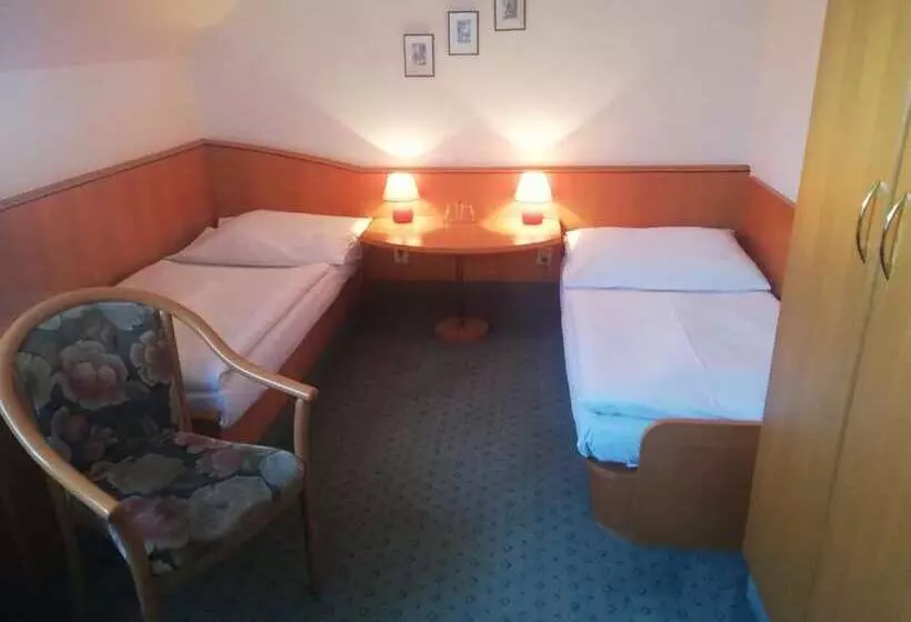 Fotos del hotel Monica:  7