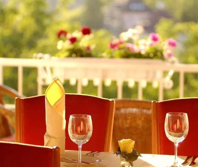 Fotos del hotel Monica:  5