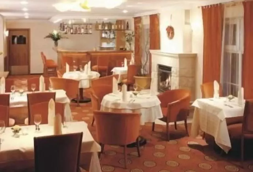 Fotos del hotel Monica:  9