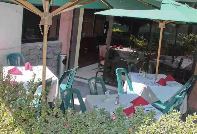 Fotos del hotel Pedregal Palace:  18