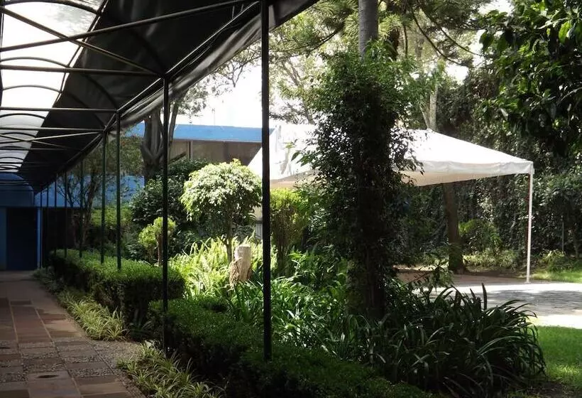 Fotos del hotel Pedregal Palace:  20