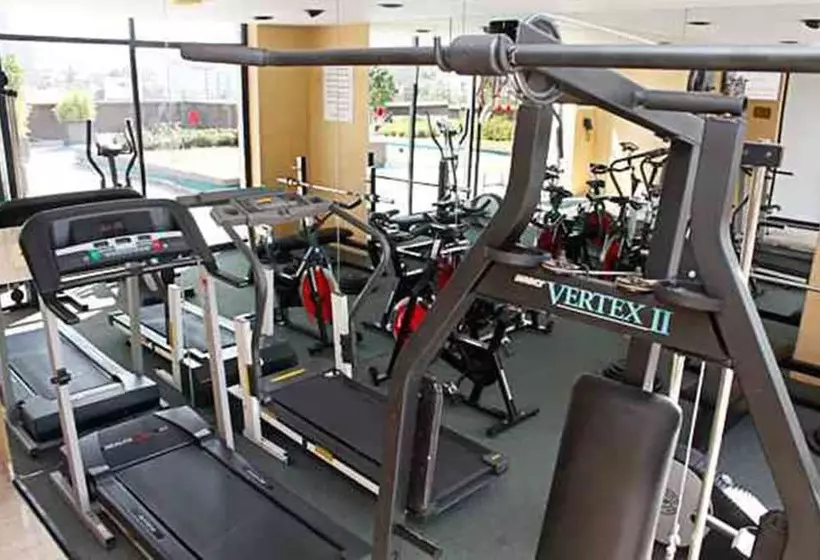 Fotos del hotel Pedregal Palace:  3