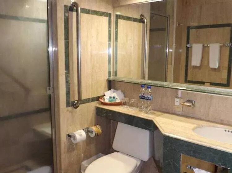 Fotos del hotel Pedregal Palace:  16