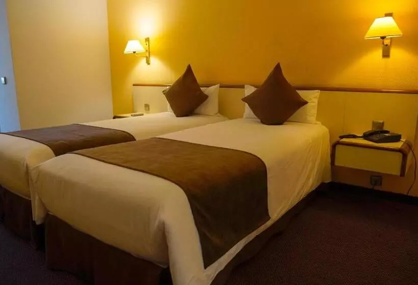 Fotos del hotel Andorra Palace:  17