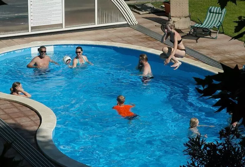 Fotos del hotel Manzard Panzio:  5