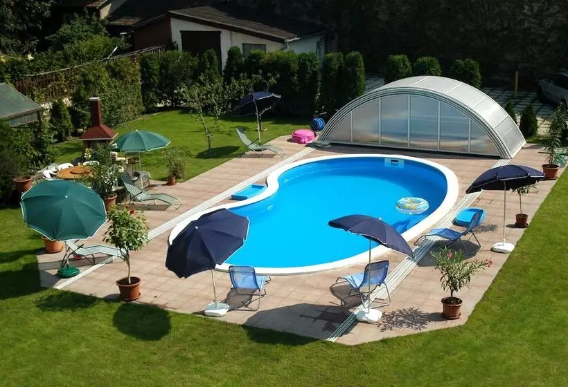 Fotos del hotel Manzard Panzio:  8