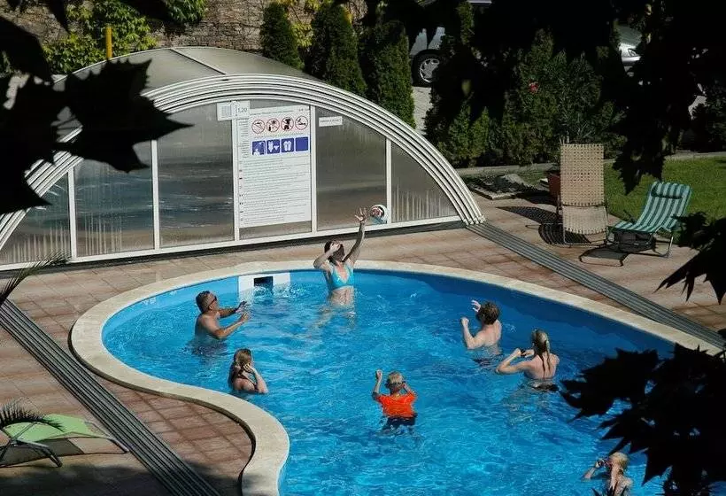 Fotos del hotel Manzard Panzio:  12