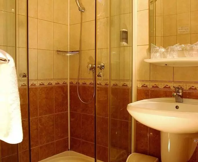 Fotos del hotel Manzard Panzio:  3