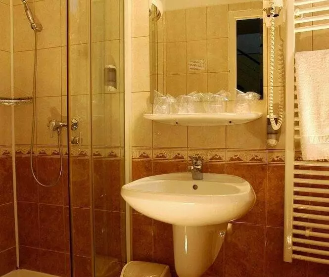 Fotos del hotel Manzard Panzio:  14