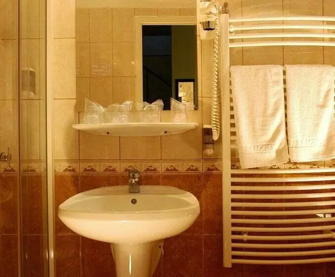 Fotos del hotel Manzard Panzio:  15