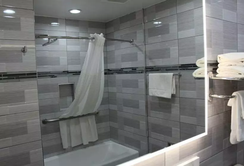 Fotos del hotel Mirage Inn And Suites:  2