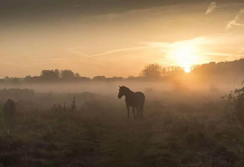 Fotos del hotel Château St. Gerlach:  8