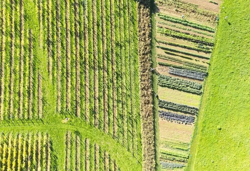 Fotos del hotel Château St. Gerlach:  13