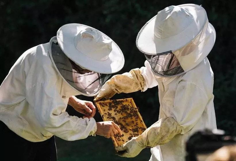 Fotos del hotel Château St. Gerlach:  5