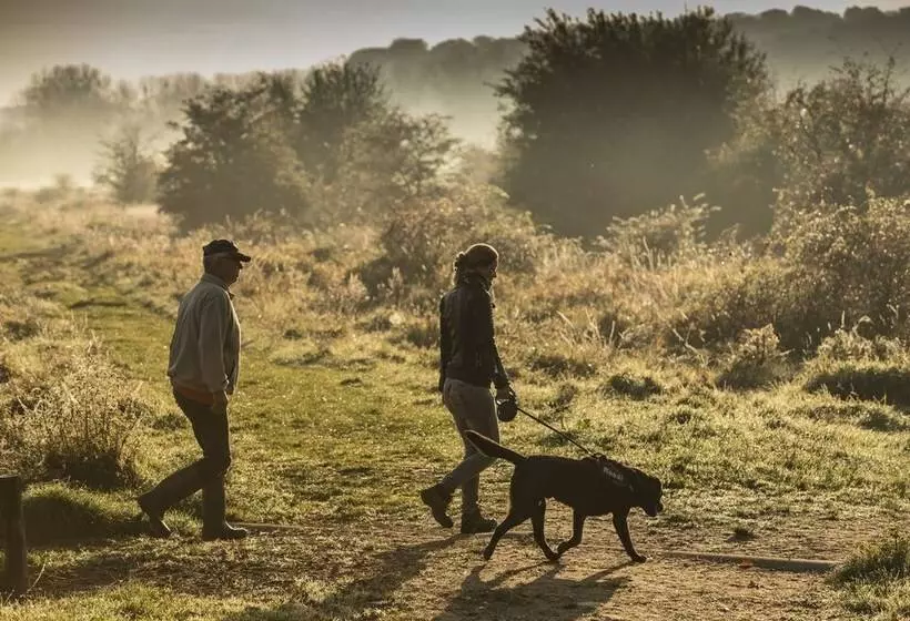 Fotos del hotel Château St. Gerlach:  11