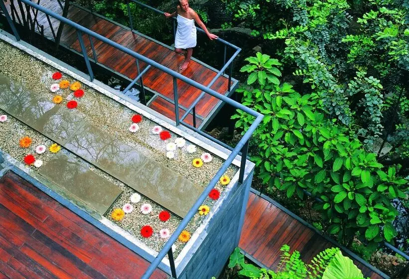 Fotos del hotel Hillside Beach Club:  5