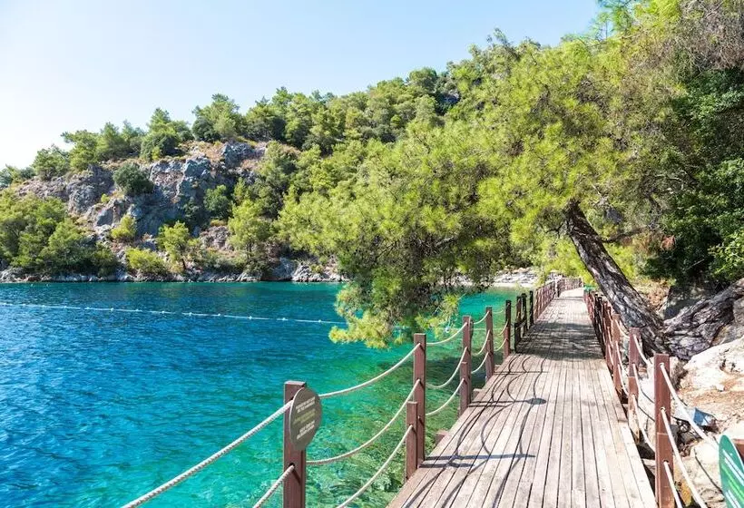 Fotos del hotel Hillside Beach Club:  17