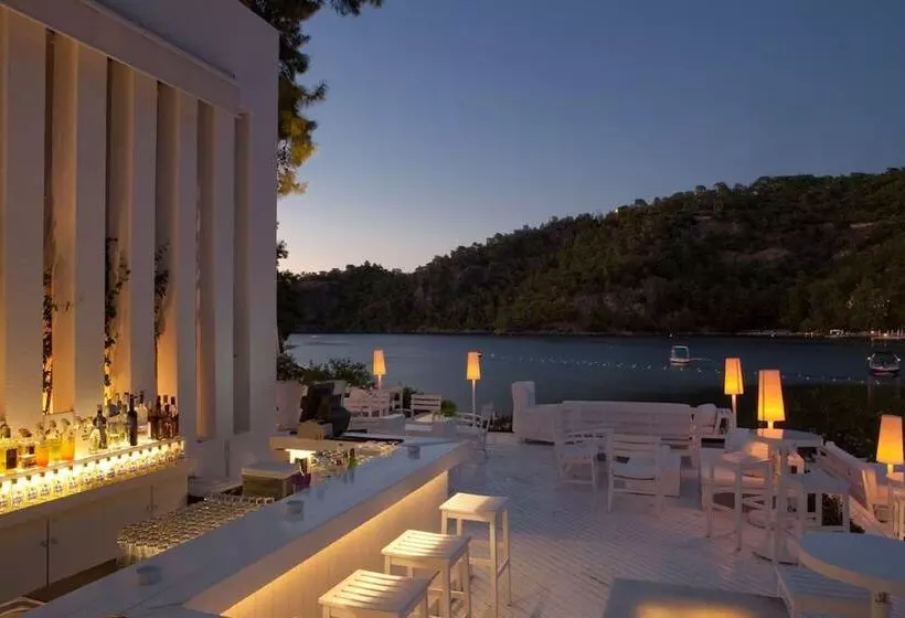 Fotos del hotel Hillside Beach Club:  15