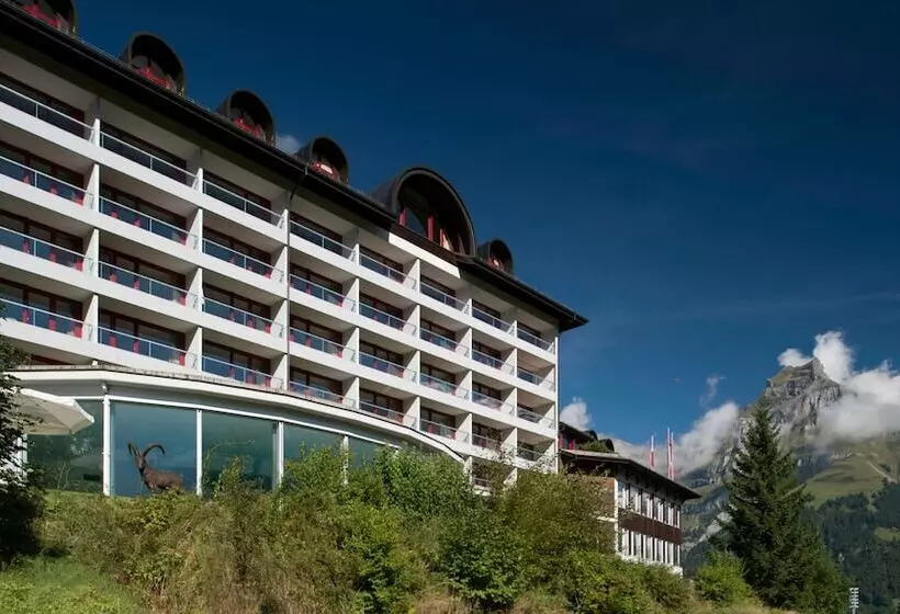 Waldegg  Adults Only