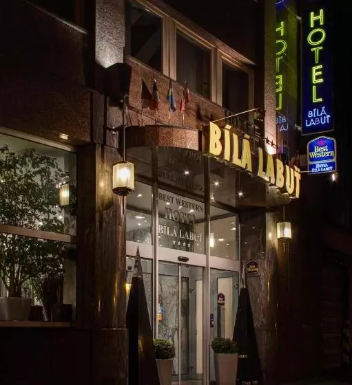 Fotos del hotel Luxury Family Hotel Bila Labut:  13