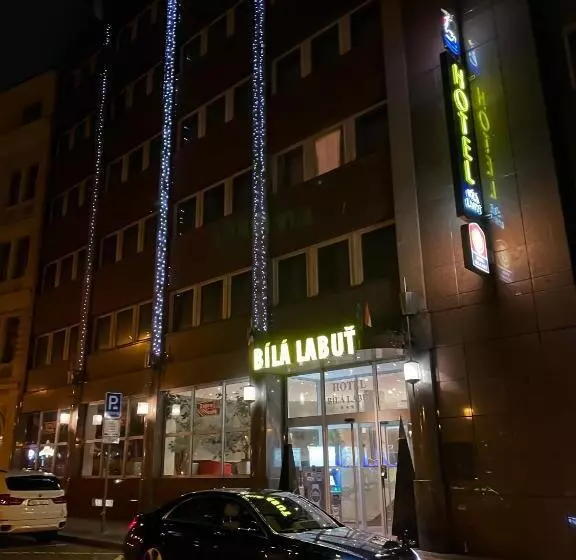 Fotos del hotel Luxury Family Hotel Bila Labut:  19