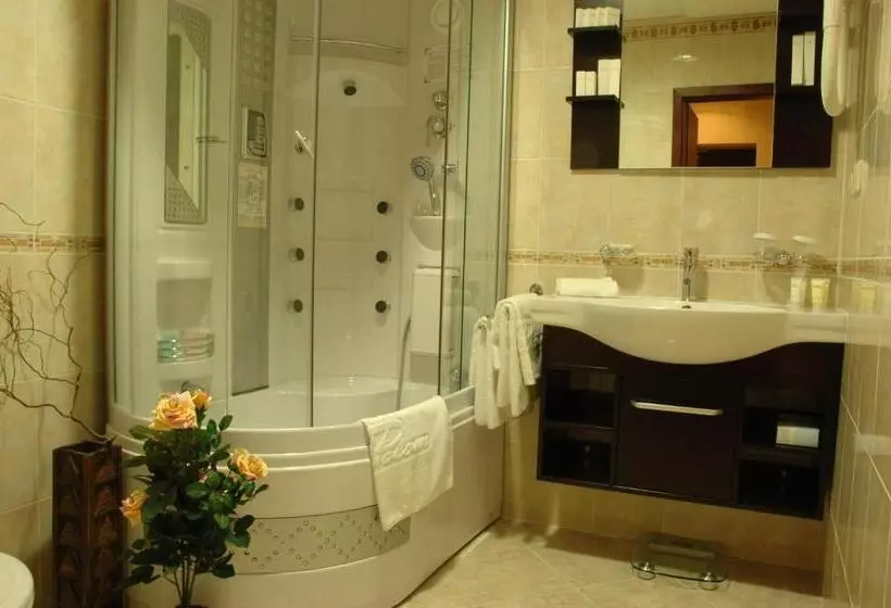 Fotos del hotel Palace  Polom:  15