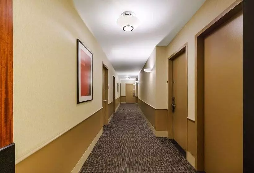 Fotos del hotel Millennium Hotel Broadway Times Square:  8