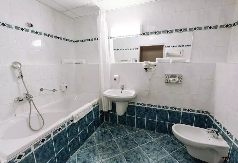 Fotos del hotel Pannonia:  7