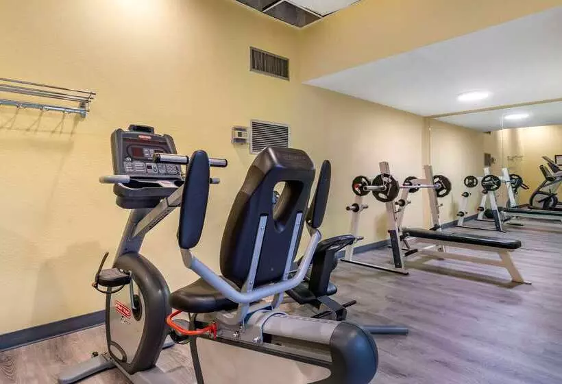 Fotos del hotel Comfort Inn & Suites Seattle North:  3