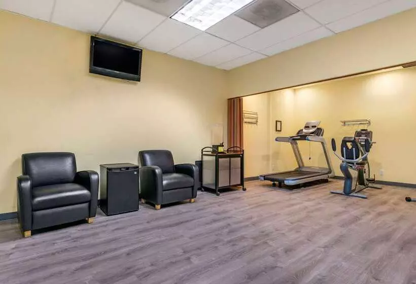 Fotos del hotel Comfort Inn & Suites Seattle North:  2