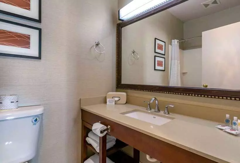 Fotos del hotel Comfort Inn & Suites Seattle North:  10