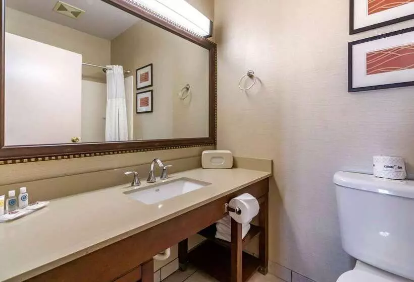 Fotos del hotel Comfort Inn & Suites Seattle North:  14