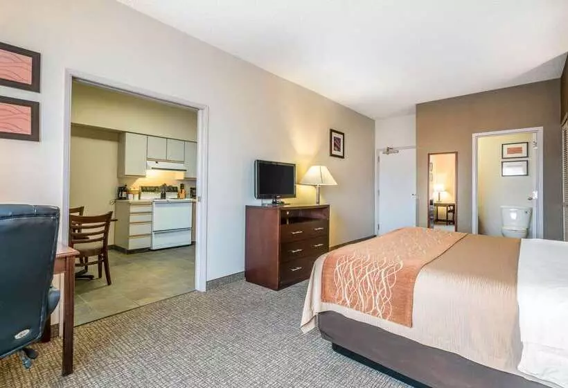 Fotos del hotel Comfort Inn & Suites Seattle North:  16