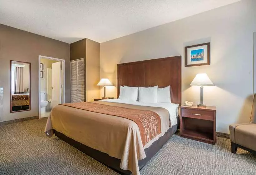Fotos del hotel Comfort Inn & Suites Seattle North:  20