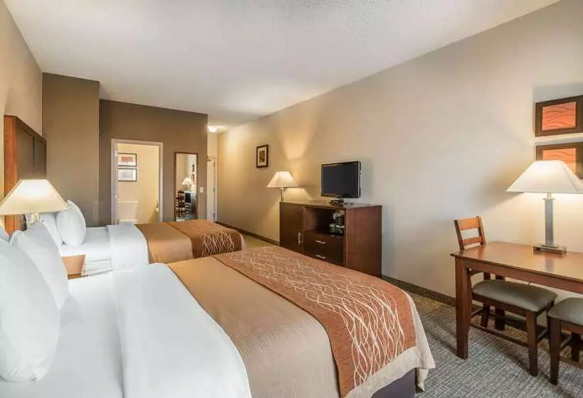 Fotos del hotel Comfort Inn & Suites Seattle North:  11