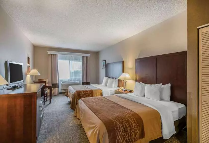 Fotos del hotel Comfort Inn & Suites Seattle North:  21