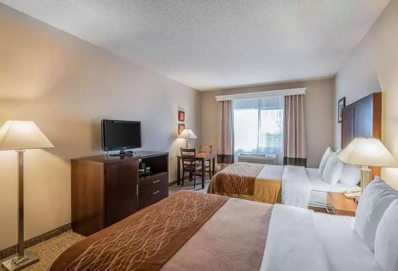 Fotos del hotel Comfort Inn & Suites Seattle North:  19