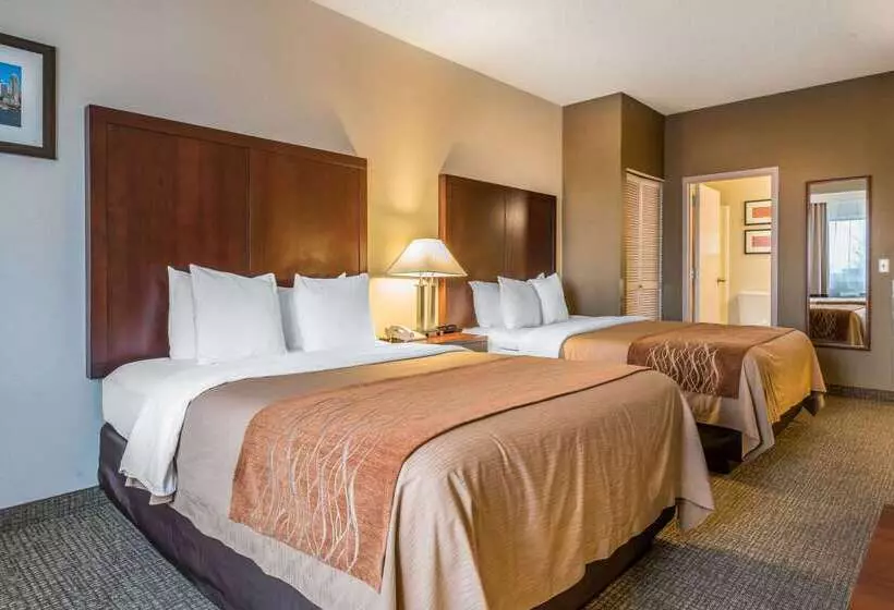 Fotos del hotel Comfort Inn & Suites Seattle North:  18