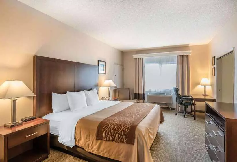 Fotos del hotel Comfort Inn & Suites Seattle North:  7
