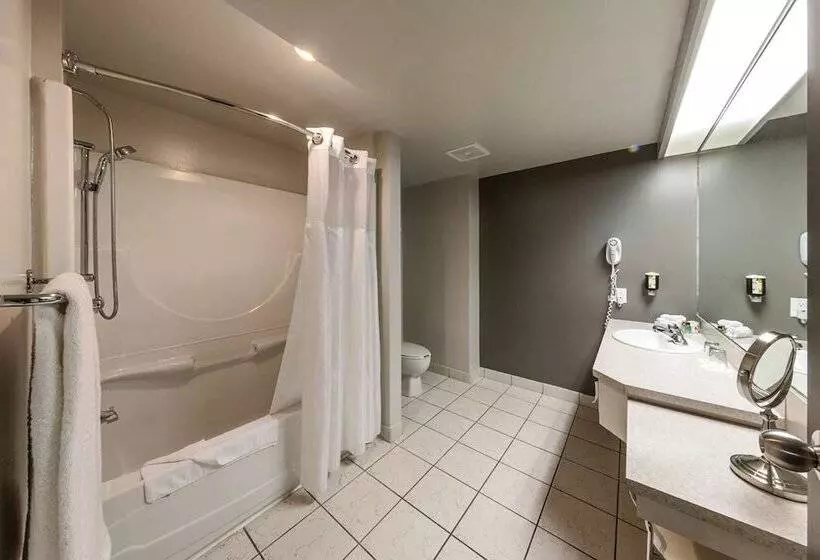 Fotos del hotel Hôtel & Suites Normandin Québec:  19