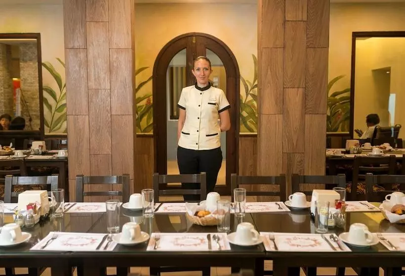 Fotos del hotel Colonial De Merida:  3