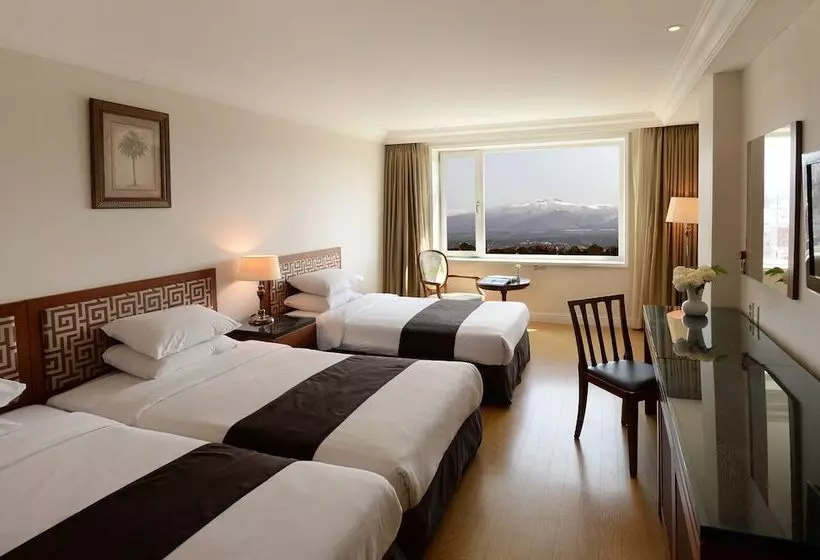 Fotos del hotel Jeju Oriental  & Casino:  8